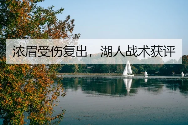 浓眉受伤复出，湖人战术获评